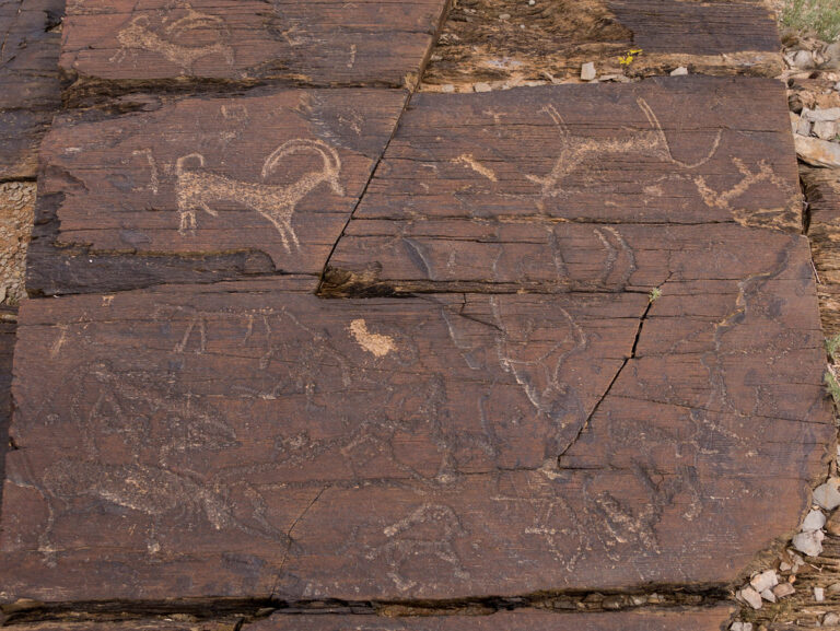 Tsagaan salaa petroglyphs
