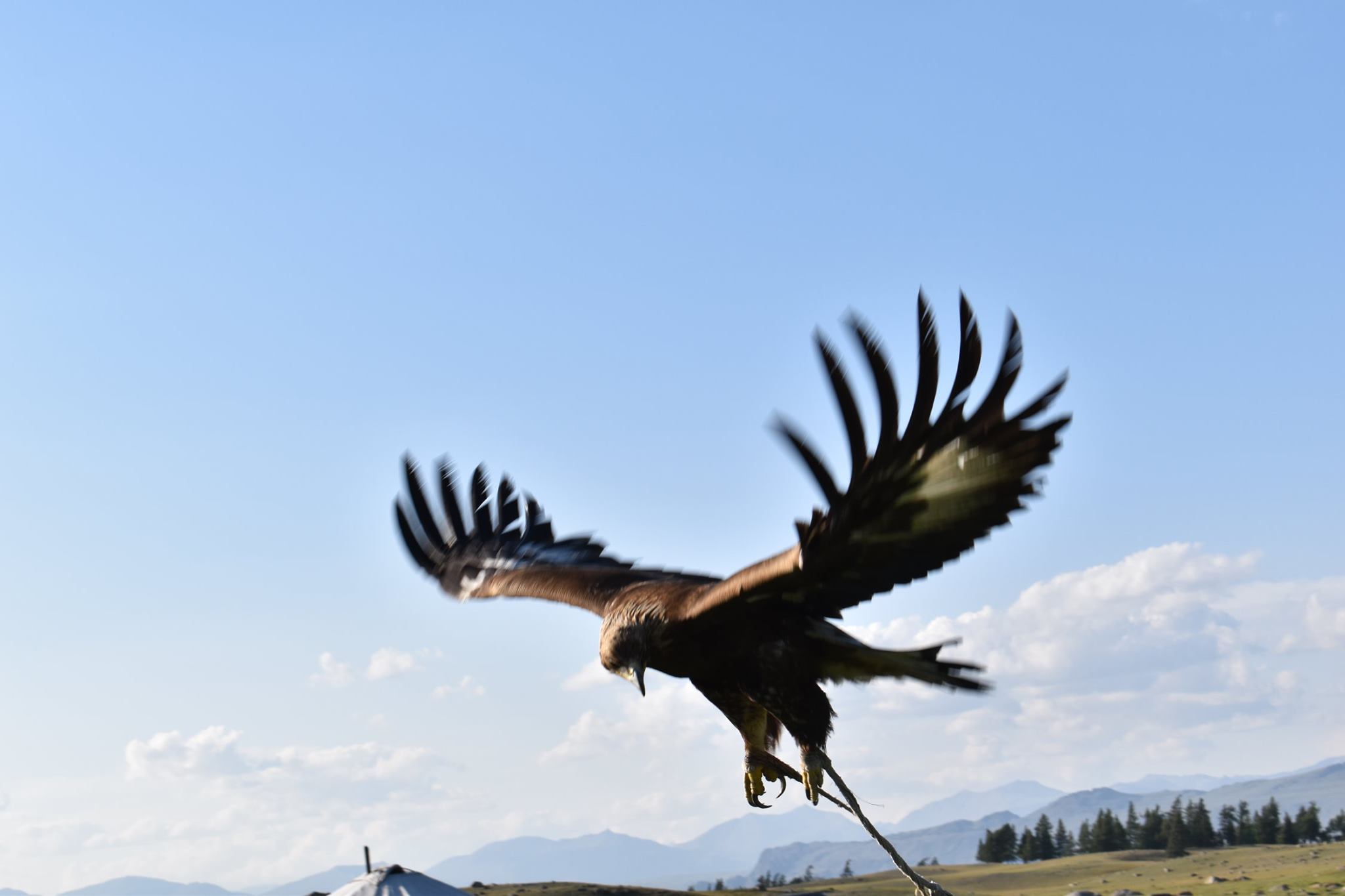 Must see things in Altai Tavan Bogd national park