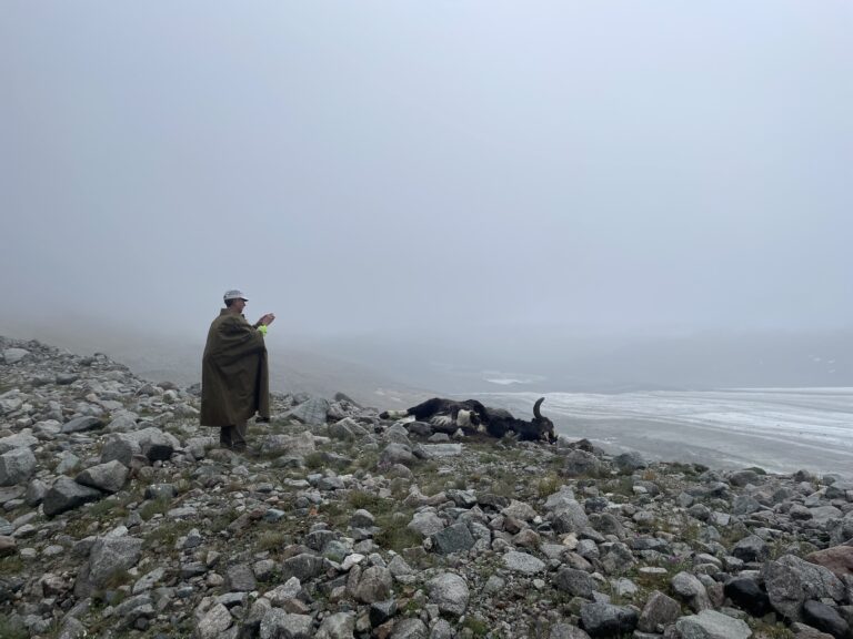 Potanin glacer in western Mongolia