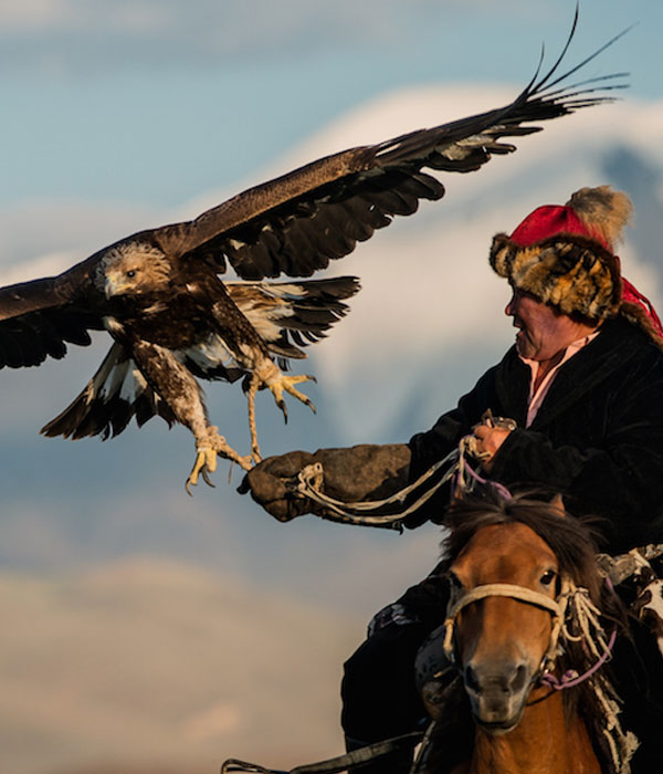 Hunting with Golden Eagles