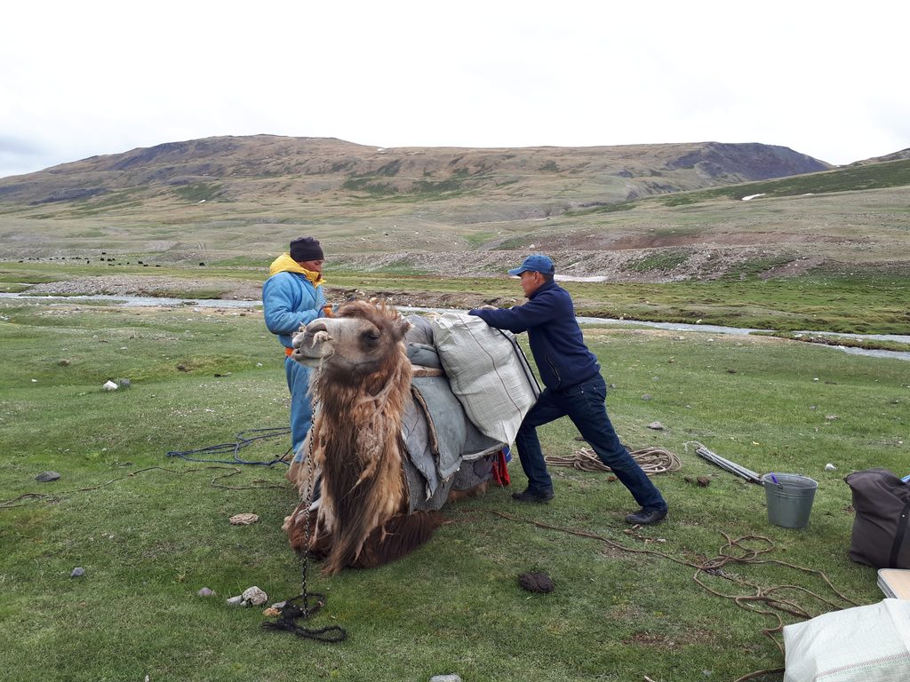 Altai mountain trekking in Mongolia